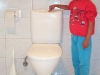 Flushing toilet1.jpg